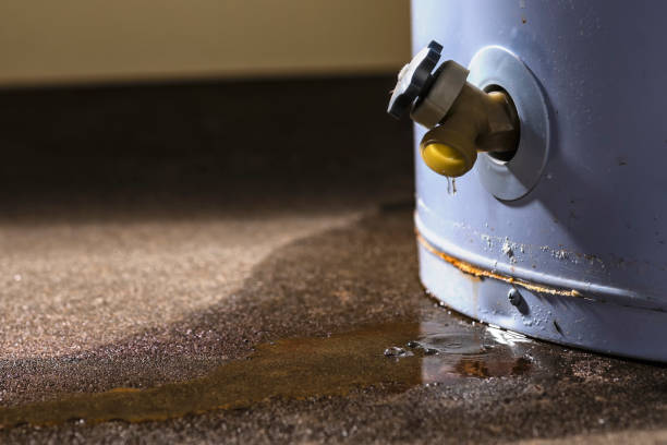 Best Flooded house restoration  in Piedmont, CA