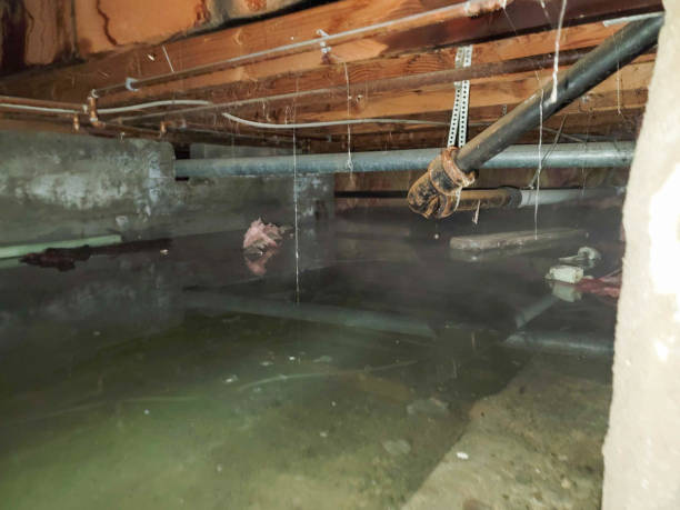 Best Water damage contractors near me  in Piedmont, CA