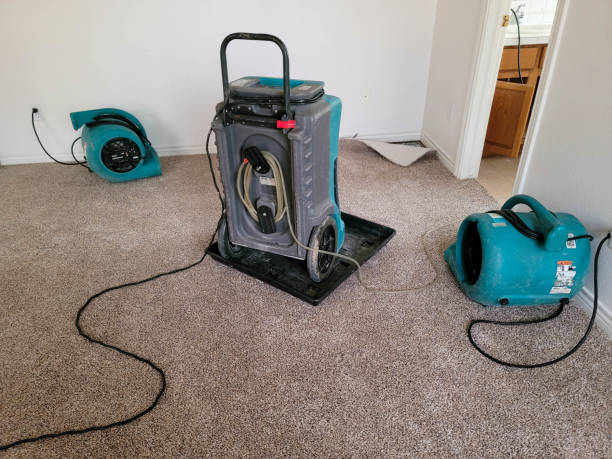 Best Carpet water damage restoration  in Piedmont, CA