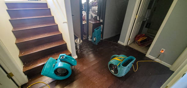 Best Carpet water damage restoration  in Piedmont, CA
