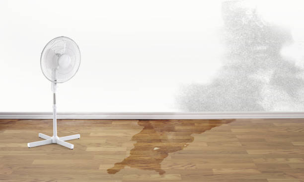 Best Sewage cleanup and water damage restoration  in Piedmont, CA