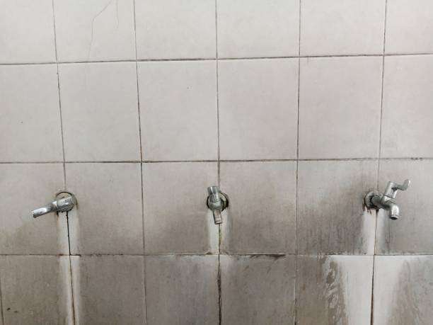 Best Water damage cleanup near me  in Piedmont, CA