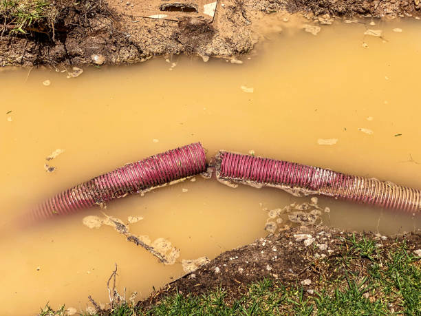 Best Residential water damage restoration  in Piedmont, CA