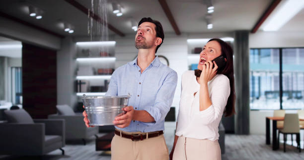 Best Flooded house restoration  in Piedmont, CA