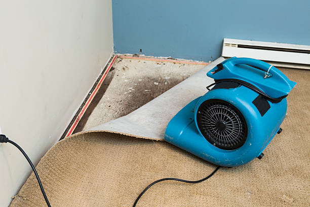 Best Fire Damage Restoration  in Piedmont, CA